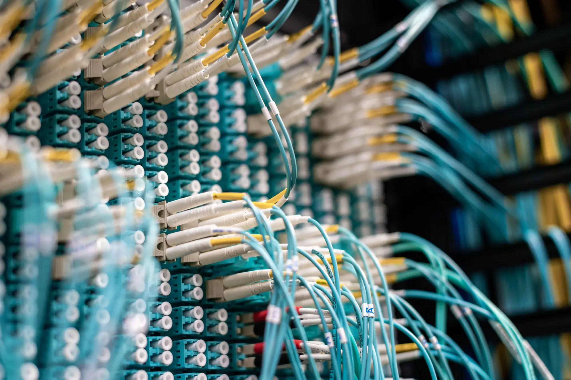 Fiber patch cables plugged into a patch panel